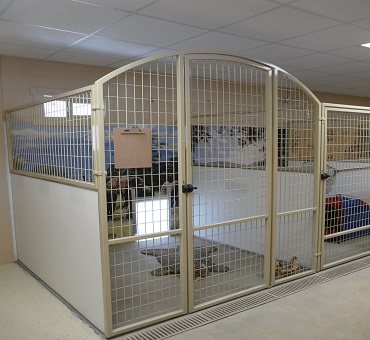country k9 kennels